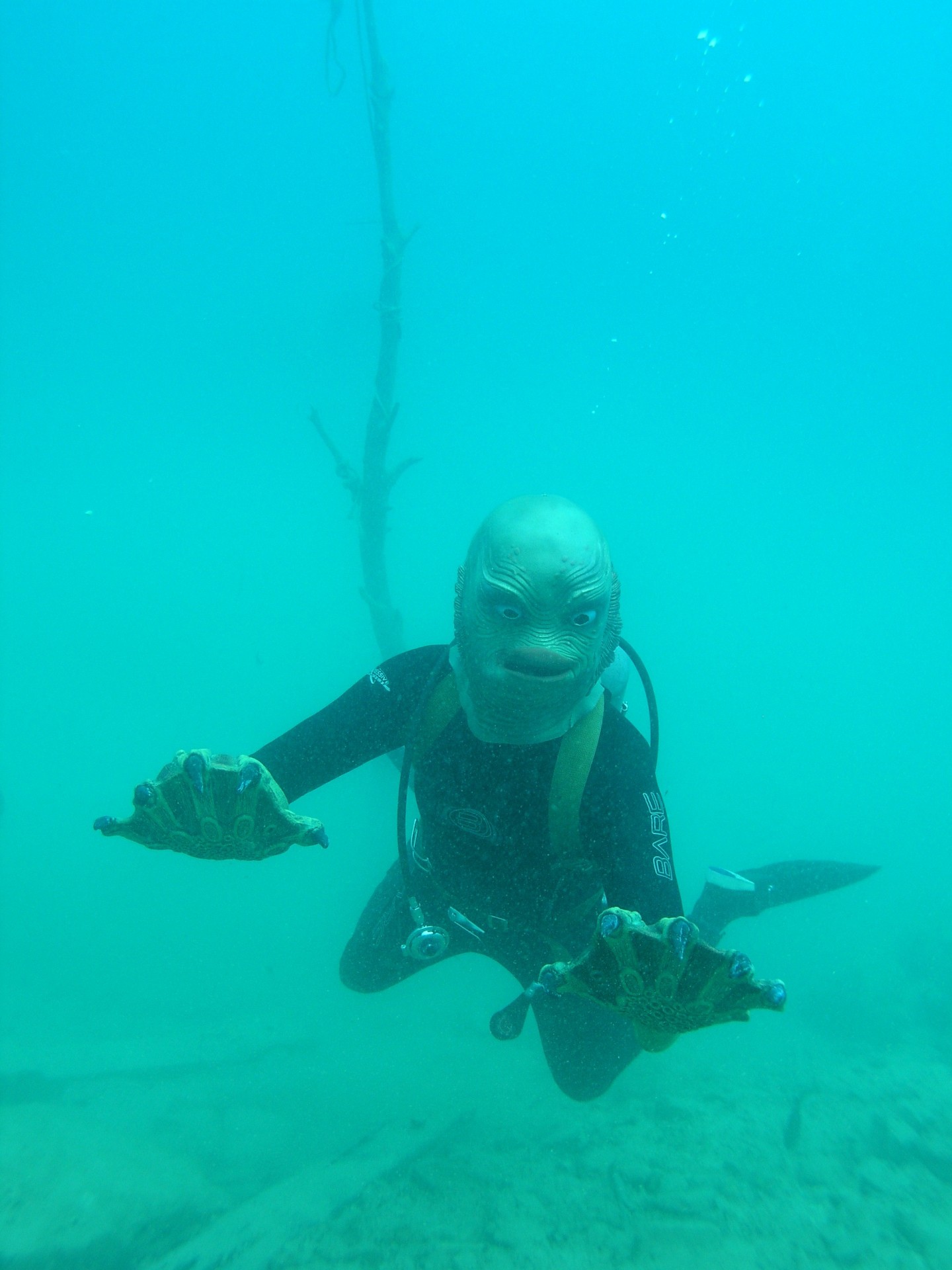 Portage Quarry 2009 Photo Galler